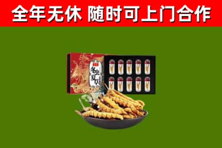 和县烟酒回收冬虫夏草礼盒.jpg