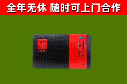 和县回收阿胶