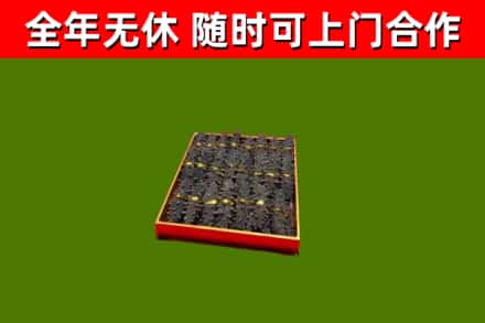 和县回收海参